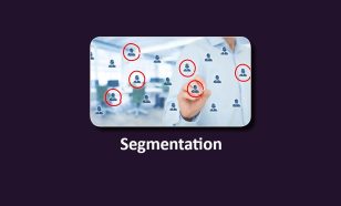 segmenttion - for food and beverage manufacturers